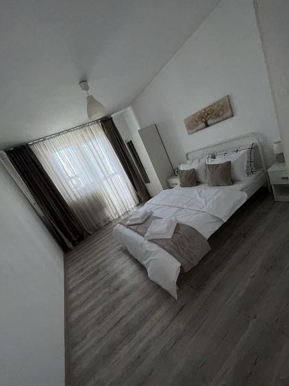 Apartamnet de inchiriat 2 camere Drumul Taberei - 7