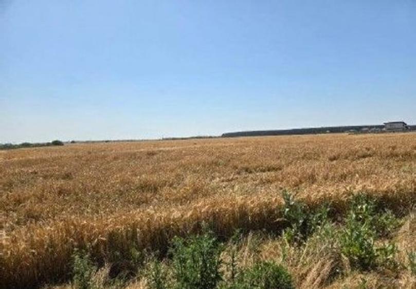 Teren extravilan cota parte 1/2, Magurele, ID: R2641535 - 11