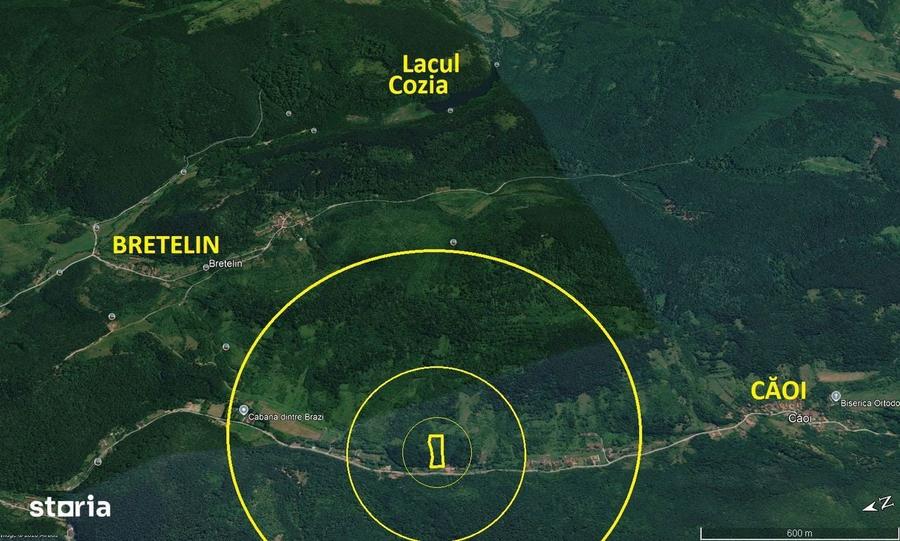 1.413mp extravilan Valea Vetelului zona retrasa - 4