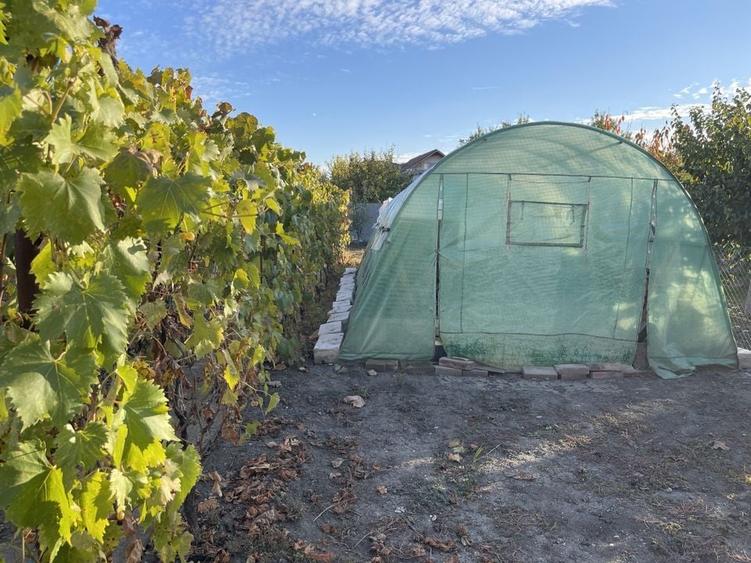 Teren ideal pentru constructie noua-800 mp cu front 22 ml - 4