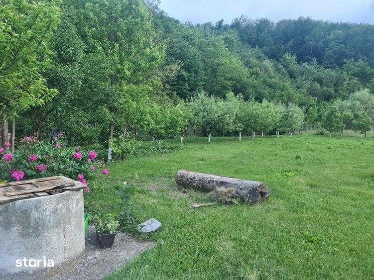 Vand casa cu gradina - 7