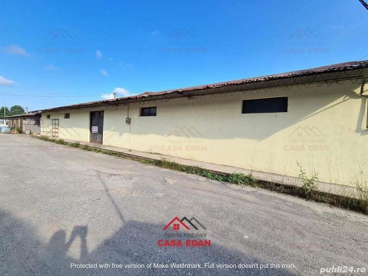 Hala in Campina--280 mp--800e - 9