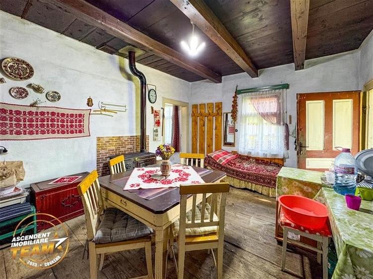 FILM! Proprietate traditionala,de poveste,cu 3.000 mp teren intravilan,Zagon,Cov - 12