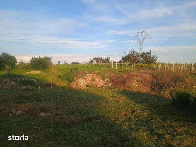 Vand teren intravilan zona artego 1800 mp - 1