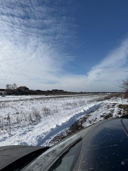 Domnesti Vand teren in Domnesti - 4