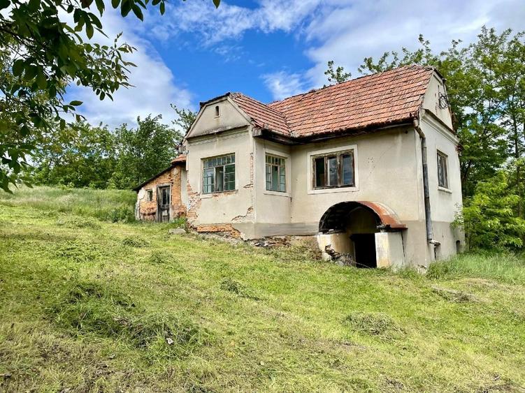 Oportunitate: teren intravilan 2500 m2 cu proiect de tiny house aprobat! - 5