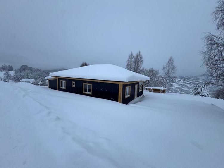 Vand cabana/casa INVESTITIE TURISTICA 1000 m altitudine - 1