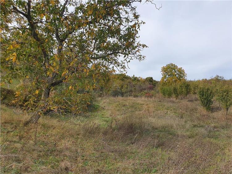 Casă Tradițională Săsească ?n loc.Aciliu cu 2974mp tere - 24