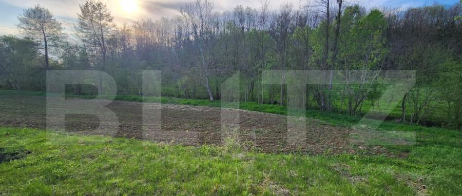 Teren 6650 mp, cu casa nefinalizata de 111 mp, in Nisipoasa - 14