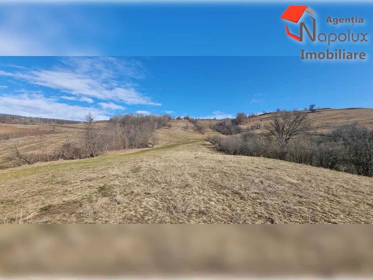 Teren de exceptie 3,1 ha intravilan | Panorama, utilitati, acces dublu | Sardu - 2