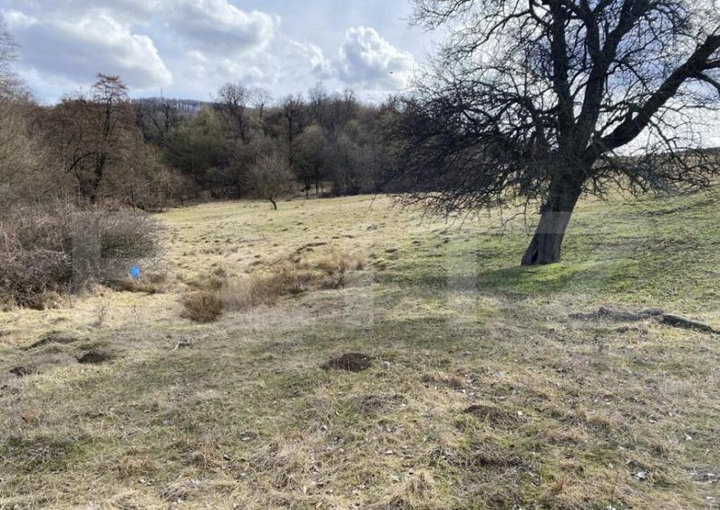 Teren extravilan in suprafata de 7500 mp la poalele Mesesulu - 5