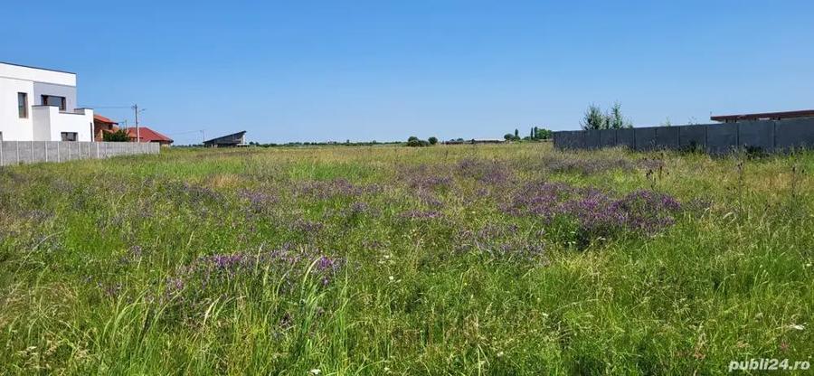 Teren pentru casa in Sacalaz - 2
