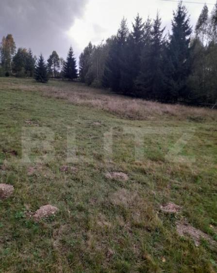 Teren intravilan de vanzare, 2280 mp, Vatra Dornei - 6