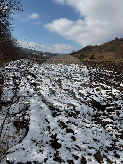 Vanzare teren itravilan Sanmartin,com. Chinteni CJ - 1