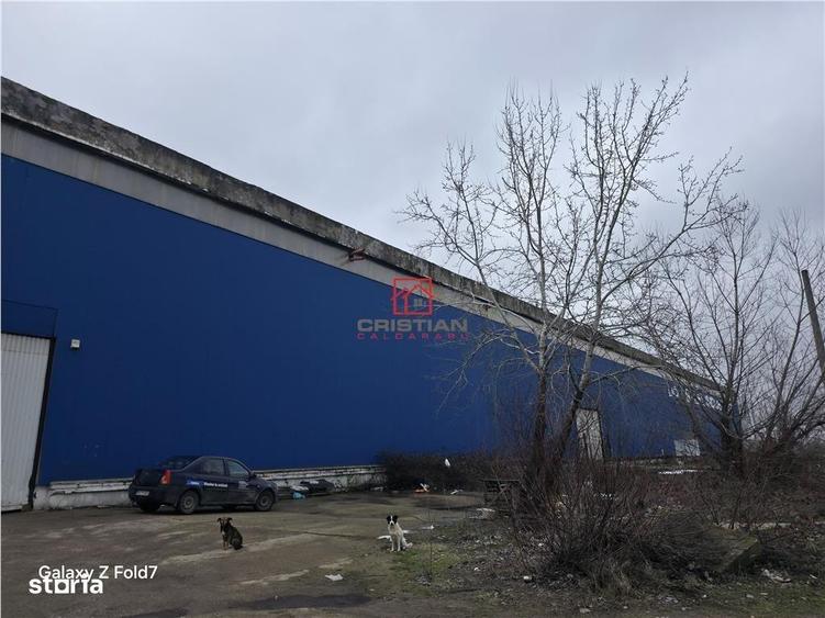 Vanzare spatiu industrialhaladepozit Giurgiu - Port, Giurgiu - 10