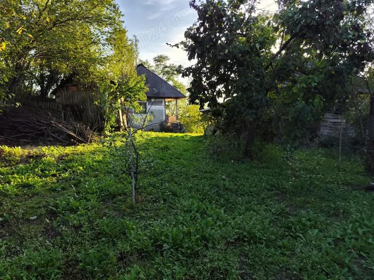 Casa de vanzare - teren 2357 mp in comuna Pietrari - 9