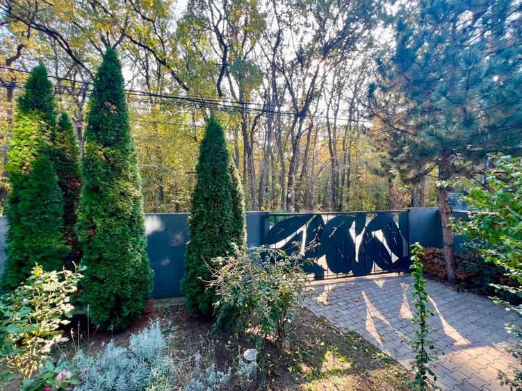 INCHIRIERE SPATIU DE BIROU // BANEASA- ALEEA TEISANI - 12