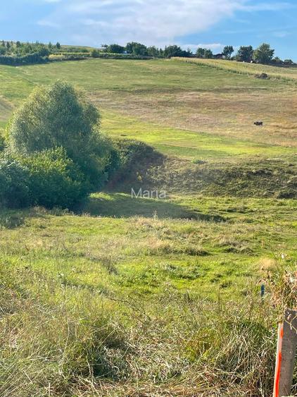 Persoana fizică vând în Chicerea 1200 mp intravilan cu deschidere la DN 44 de 21 Persoana fizică vând în Chicerea 1200 mp intravilan cu deschidere la DN 44 de 21