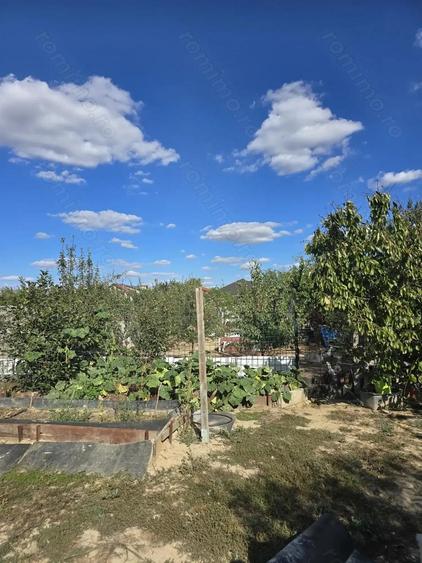 Parta-casa si teren 719 mp-parter - 13