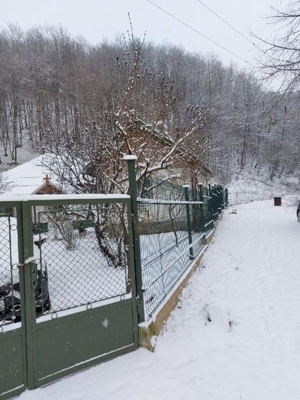 Casa, teren si padure de vanzare-40.000 mp, direct proprietar in Apuseni. - 7