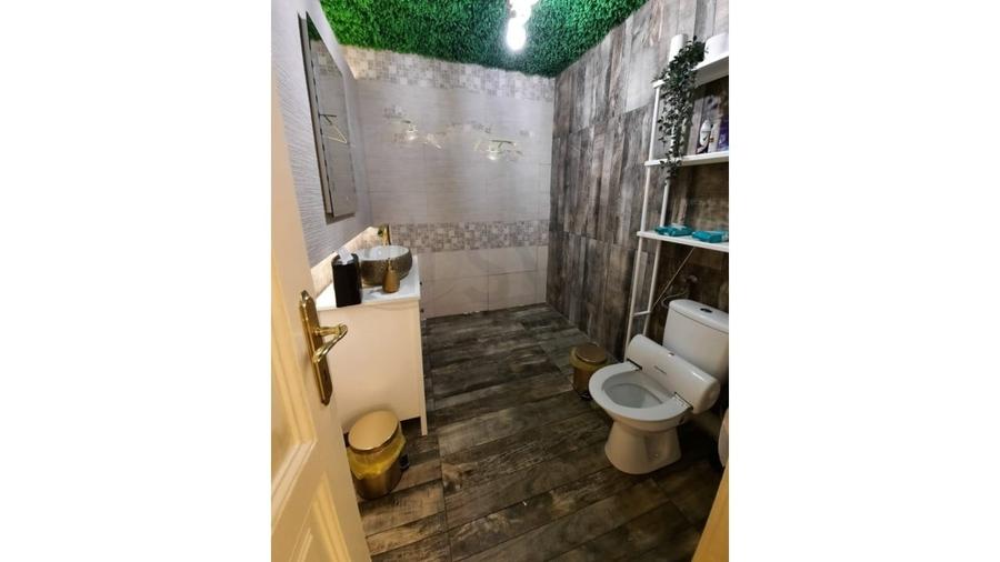 REV0017192 Piata Victoriei - VIla interbelica cu gradina - 4