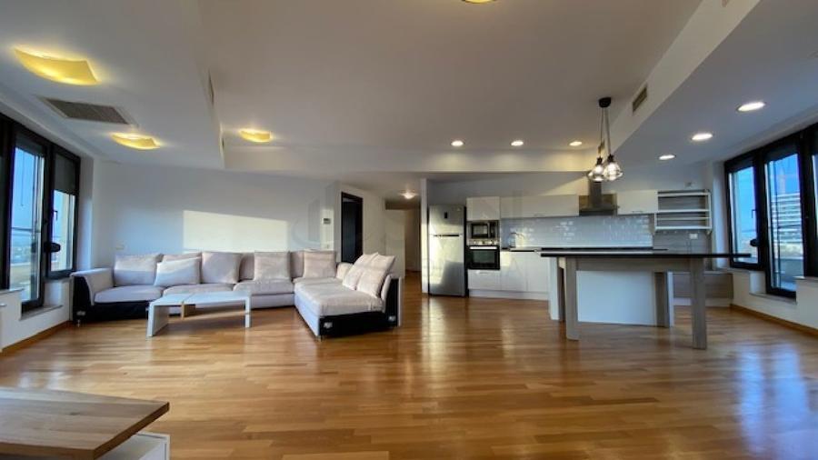 REA1008147 Penthouse 5 camere superb-vedere directa Herastrau - 1