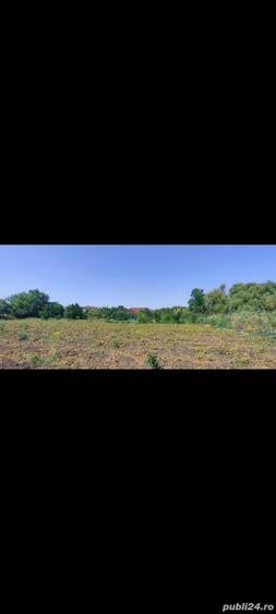 Teren intravilan cur?i construc?ii 2800 mp- Lovrin-Centru de vanzare - 4