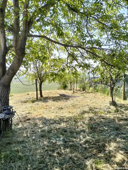 Casa de vanzare Baneasa - 1