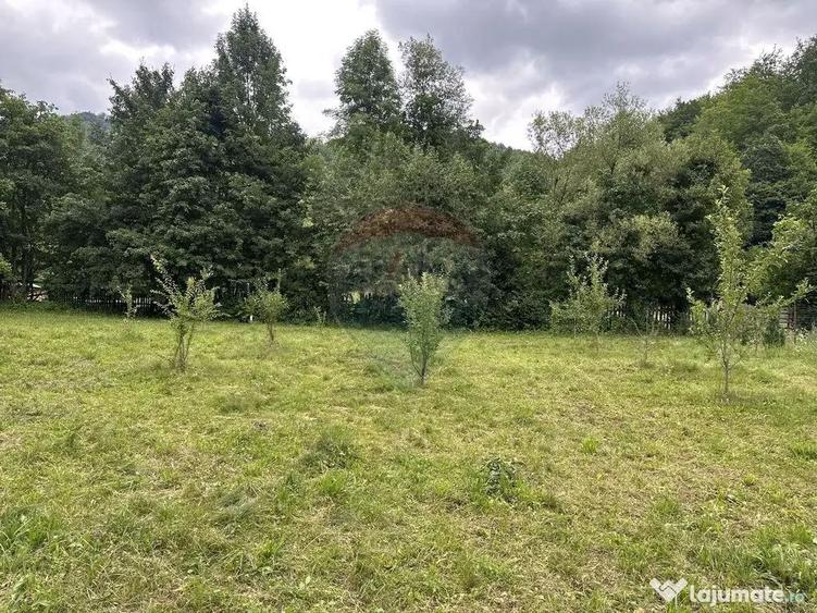 Teren de vanzare Cuiejdel 1350 mp - 7
