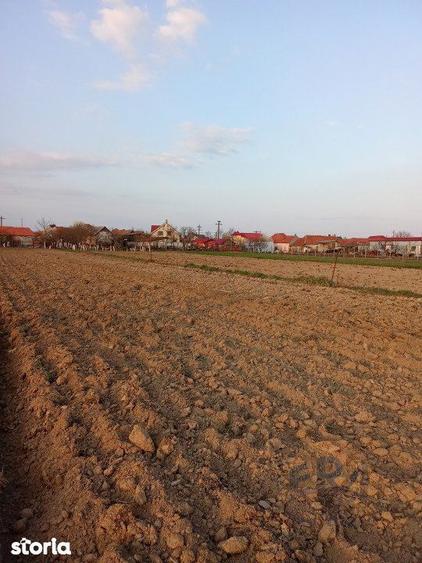 Teren Alparea , Str. Principala - 2