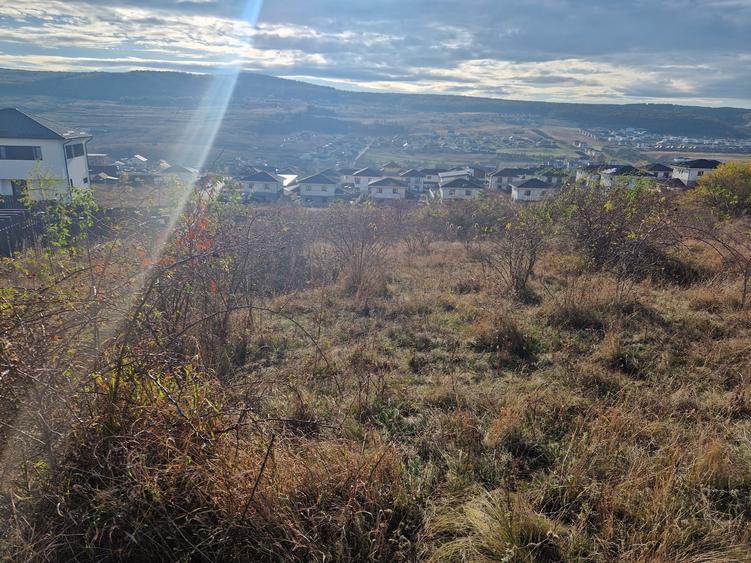 Teren Intravilan constructii 5500 mp  cu Puz In Chinteni - 1