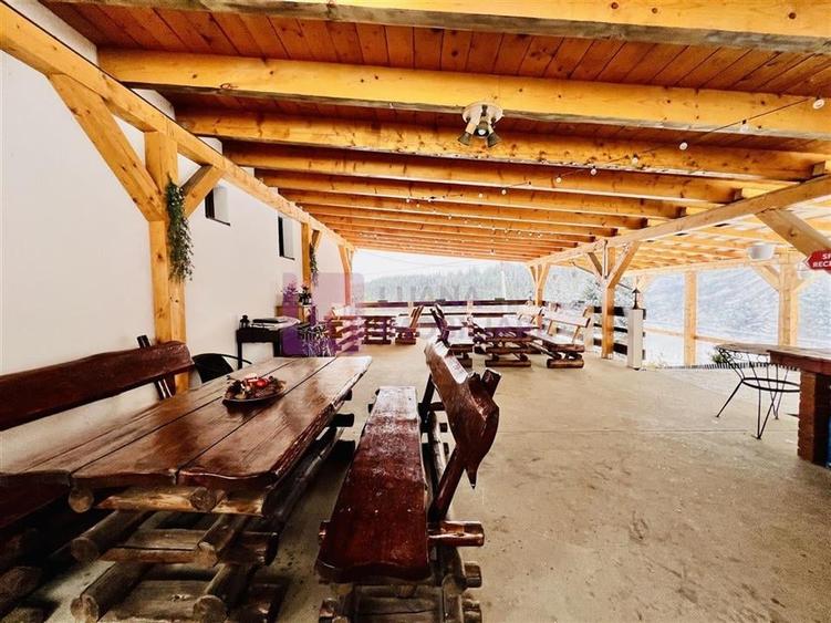 Afacere la cheie | Vila de 3 stele | Paltinis | amenajata complet - 3