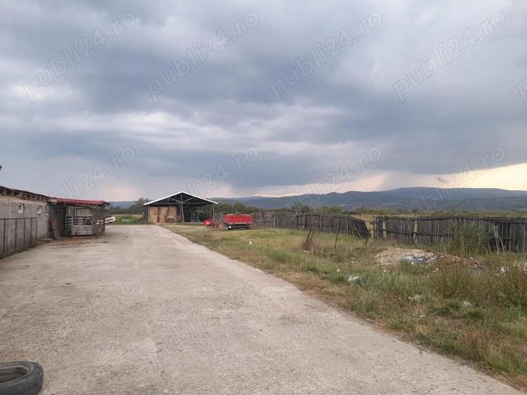 Ferma de inchiriat teren 21.000 mp, utilita?i complete pt activitate agricola si sau logistica - 11