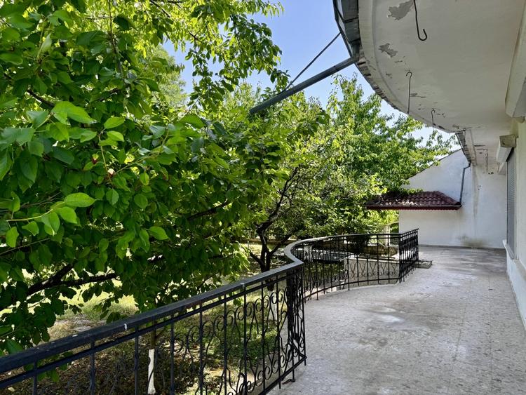 Vila Manastirea Snagov - 9