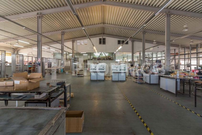 Vanzare hala de depozitare + birouri P+1 Otopeni - 6