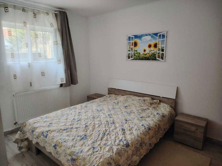 Apartament 2 Camere de Inchiriat Starda Prundului (Zona de Jos a Orasului) - 3