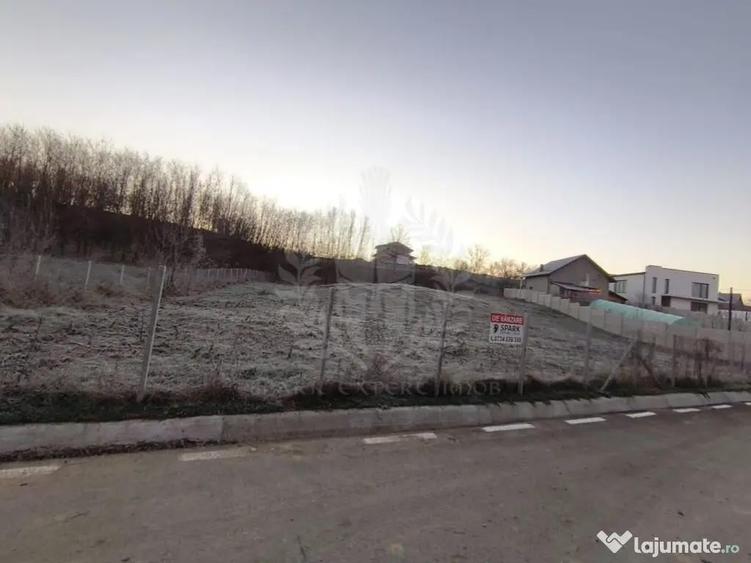 TEREN INTRAVILAN//COM. PLOPU//1300//2700 MP - 4