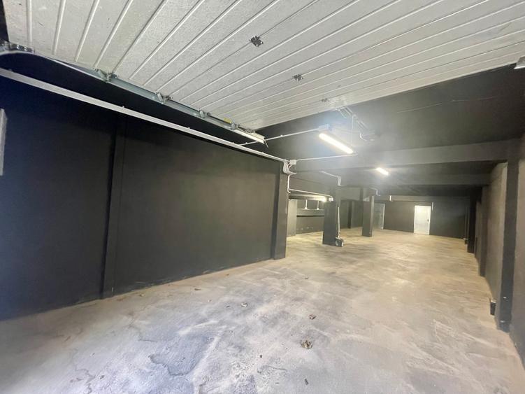 Spațiu industrial  – Zona Victoriei – Str. Teodosie Rudeanu nr. 41, - 8