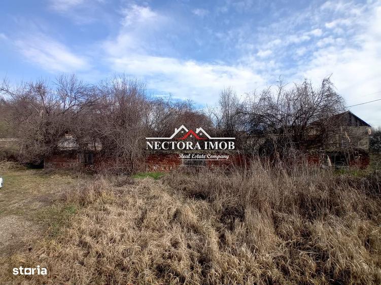 NECTORA IMOB-Teren Intravilan Zona Facliei, Teren Plat,460 mp,F:29 ml - 1