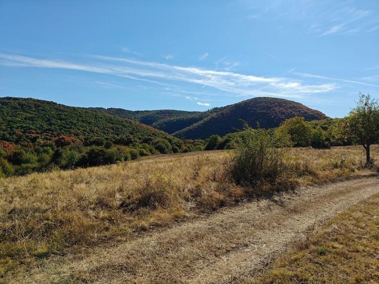 Vand teren extravilan pasune 3,54 ha - 4