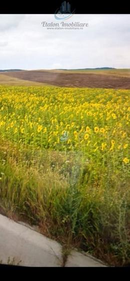 Teren 8500mp+8500 mp, deschidere 32 m+32 m, Negresti, Jud. Neamt - 5