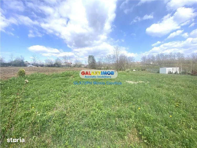 Vanzare teren intravilan Paulesti Prahova - 2
