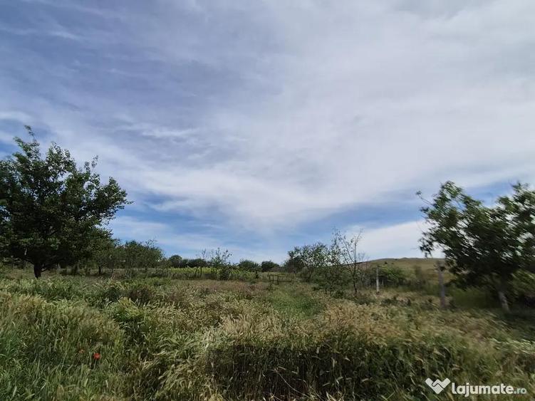Teren 1000 mp, Oituz (Constan?a) - 4