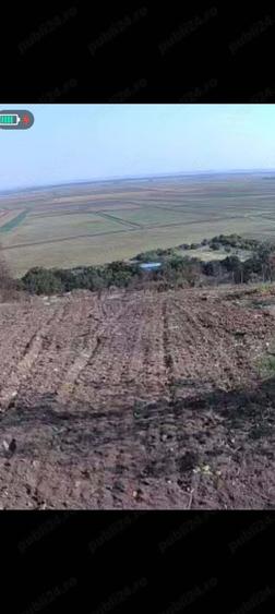 Casa de vanzare Baneasa - 9