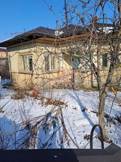 Dascalu, casa veche 4 camere, acoperis nou, teren 1300 mp, deschidere 39 m - 17