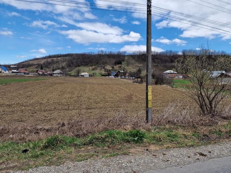 Teren intravilan in Sanduleni/Bacau de vanzare - 11