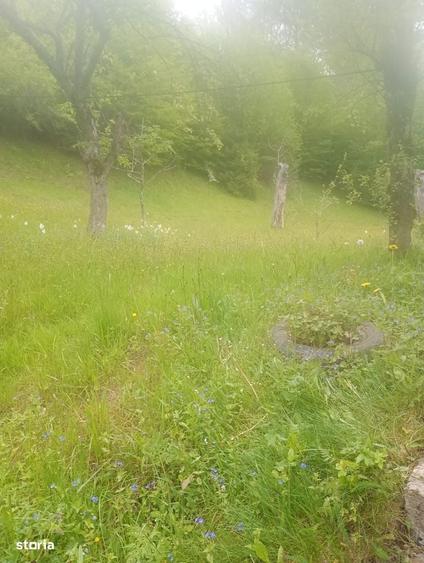 Vand casa ,zona Mun?ilor Apuseni !!! - 8