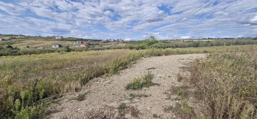 RECO Teren  intravilan in Saldabagiu de Munte - 5