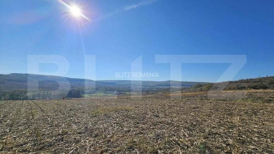 Teren extravilan, 17.000 mp, zona Almasu Mic