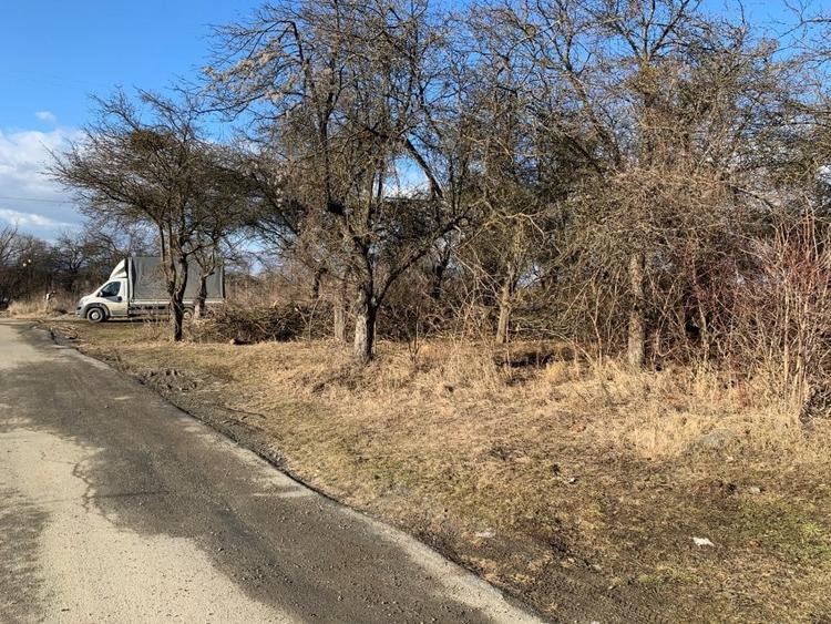 Teren de vanzare in Faget zona Wonderland - 2